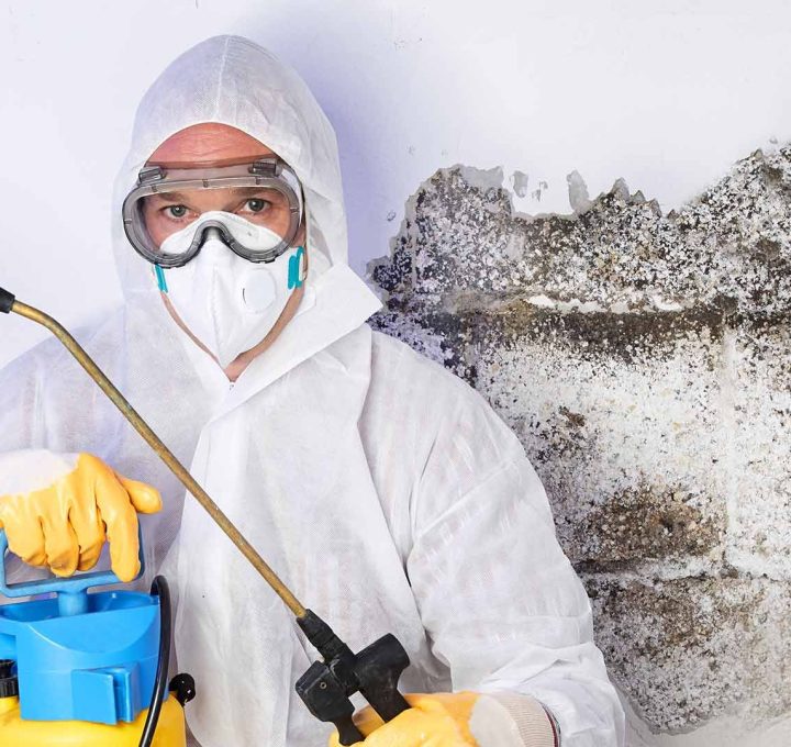 22c50b-80d-7206-5e30-a45fb0afcd_indoor-mold-testing-gainesville-ga