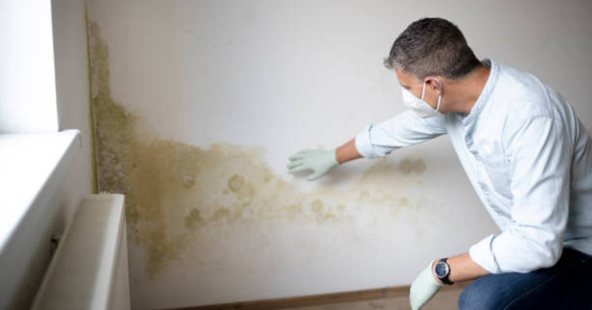 Mold Testing in Michigan