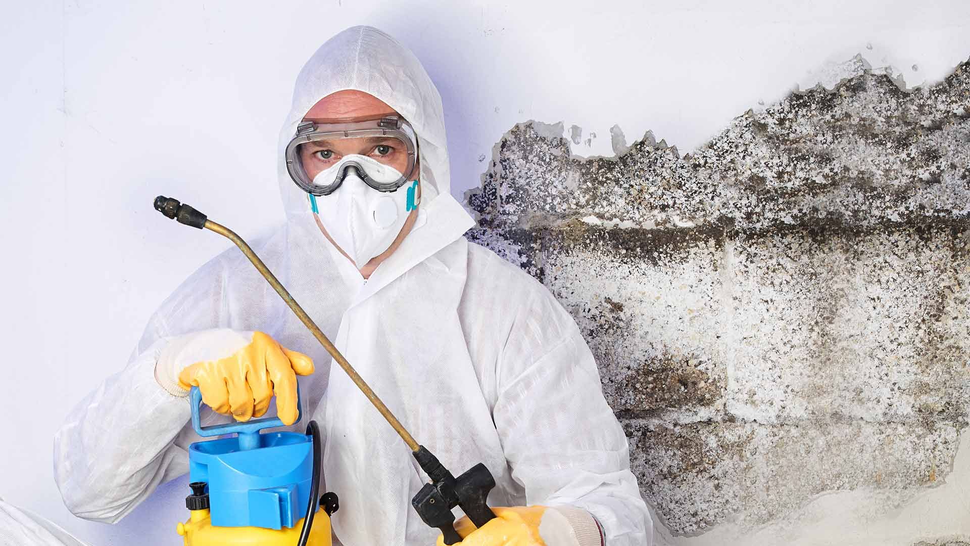 22c50b-80d-7206-5e30-a45fb0afcd_indoor-mold-testing-gainesville-ga