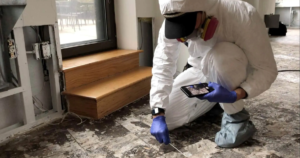 Mold Inspection Before Buying