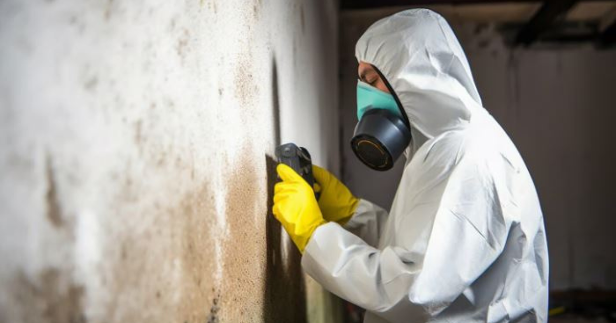 mold inspection Kalamazoo Michigan home