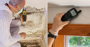mold testing vs air quality testing