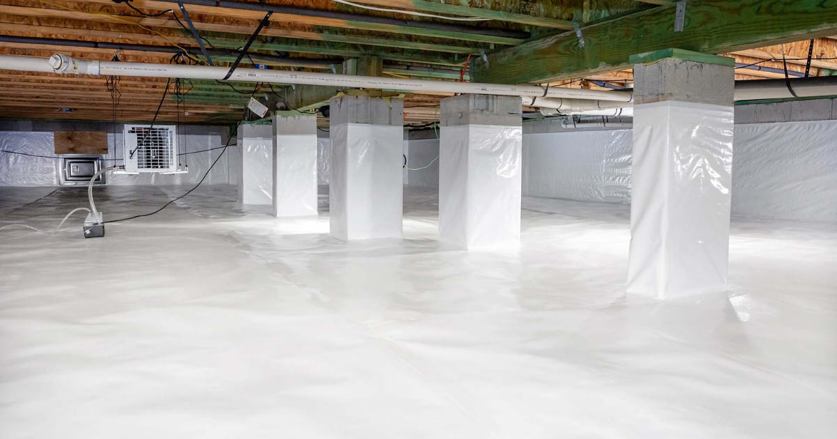 basement mold testing Michigan home