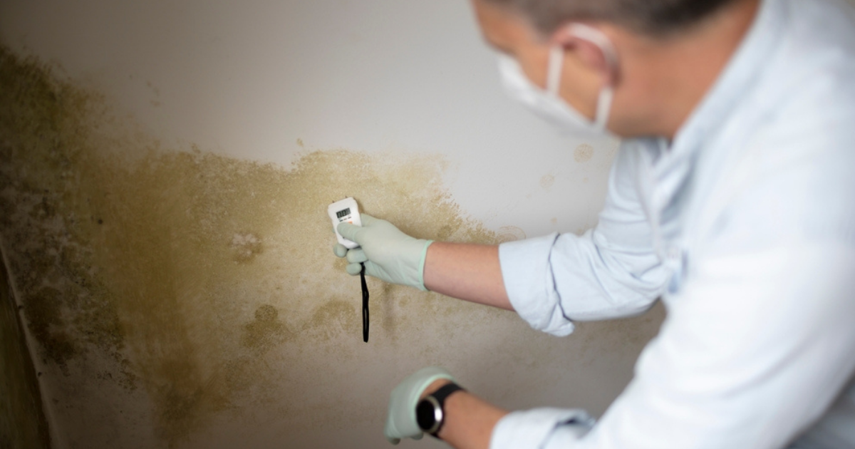 mold in rental property Michigan