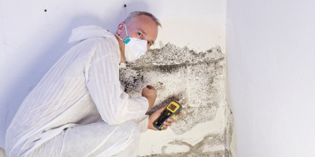 mold clearance testing Michigan