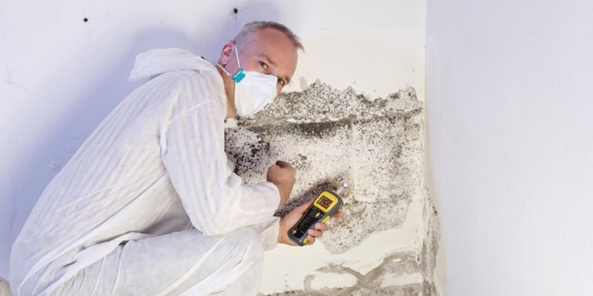 mold clearance testing Michigan