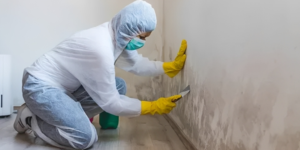 mold testing Holland Michigan