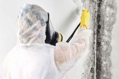 Air testing service in michigan A person performing Air testing service| Lakeshore air testing in Michigan